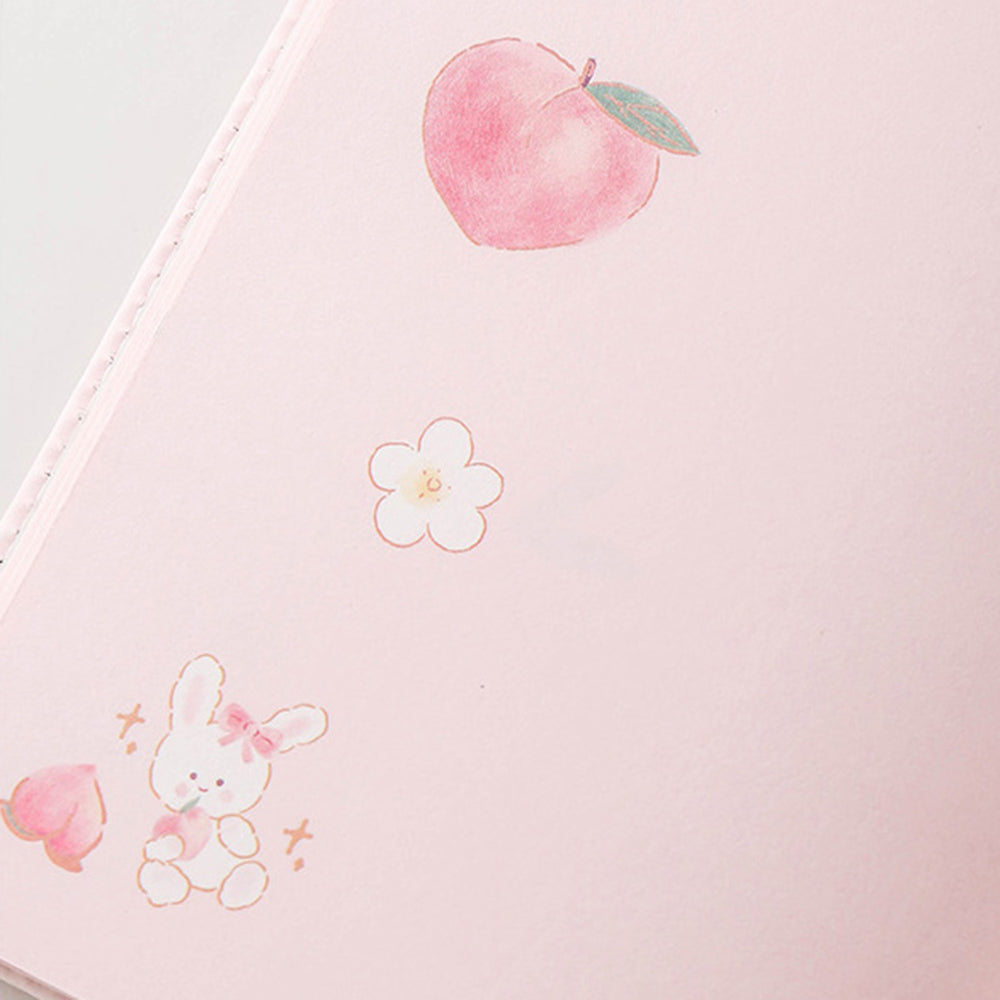 Peach Aesthetic Style Journaling Diary