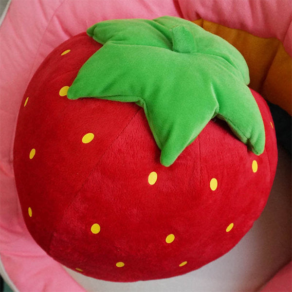 Strawberry Pillow