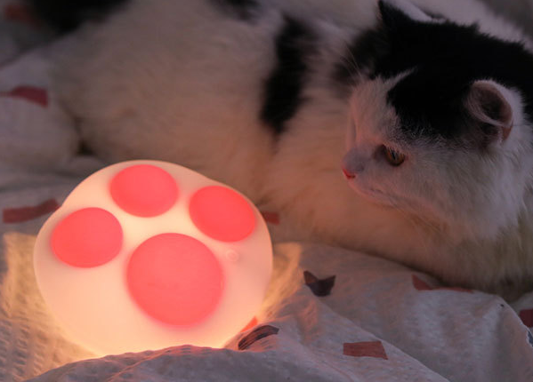 Cat Paw Soft Light