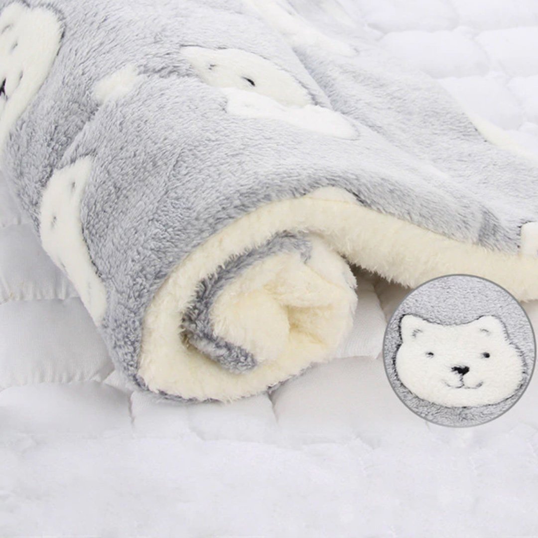 Cosy bear blanket hot sale