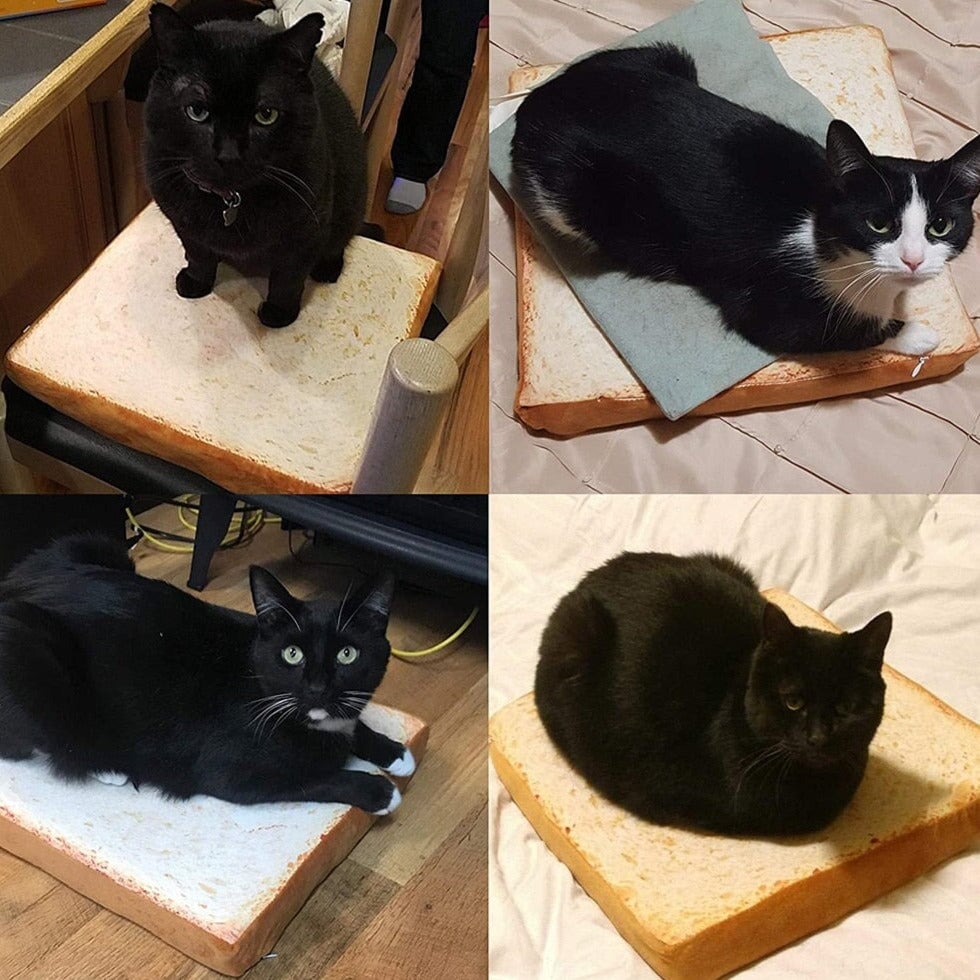 Slice of White Bread Pet Cat Dog Bed