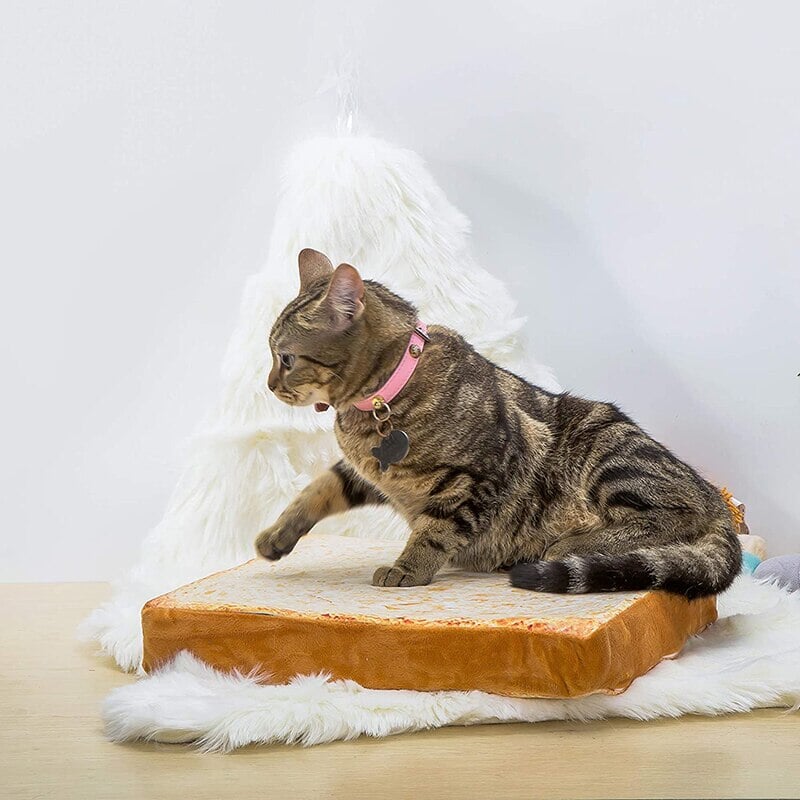 Slice of White Bread Pet Cat Dog Bed