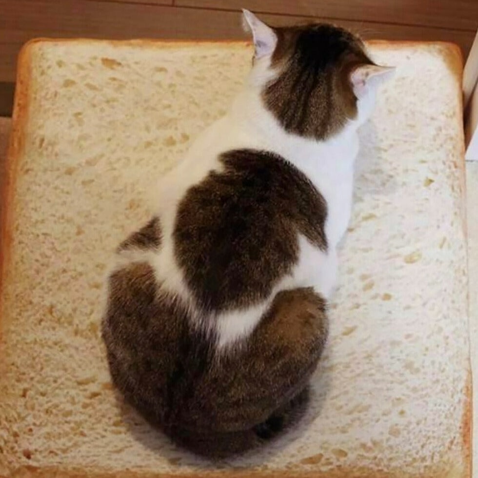 Slice of White Bread Pet Cat Dog Bed