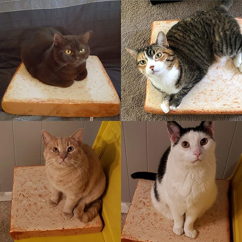 Slice of White Bread Pet Cat Dog Bed