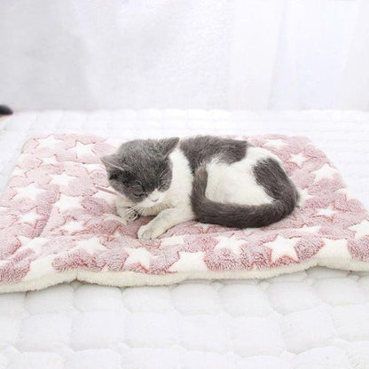 Twinkle Little Stars Soft Cat and Dog Bed