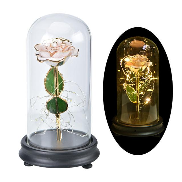 Immortal 24k Enchanted Rose LED Glass Display