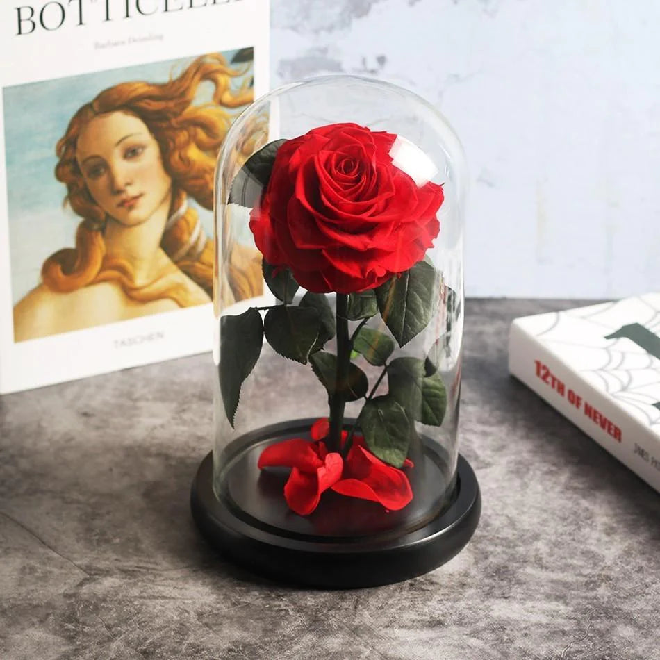 Immortal Enchanted Preserved Rose Glass Display