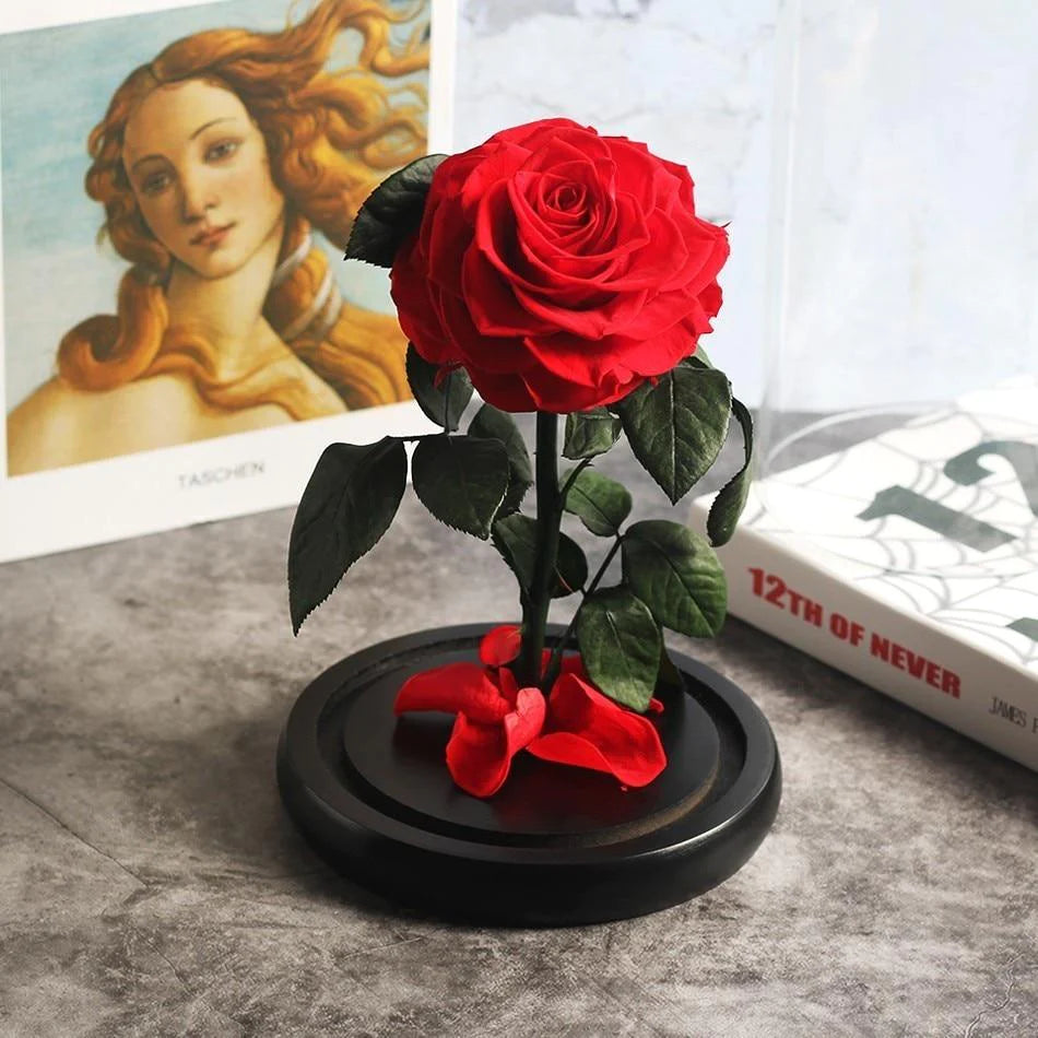 Immortal Enchanted Preserved Rose Glass Display