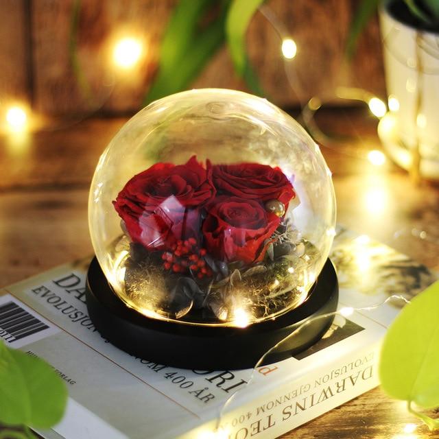 Immortal Enchanted Rose Glass Bubble Dome