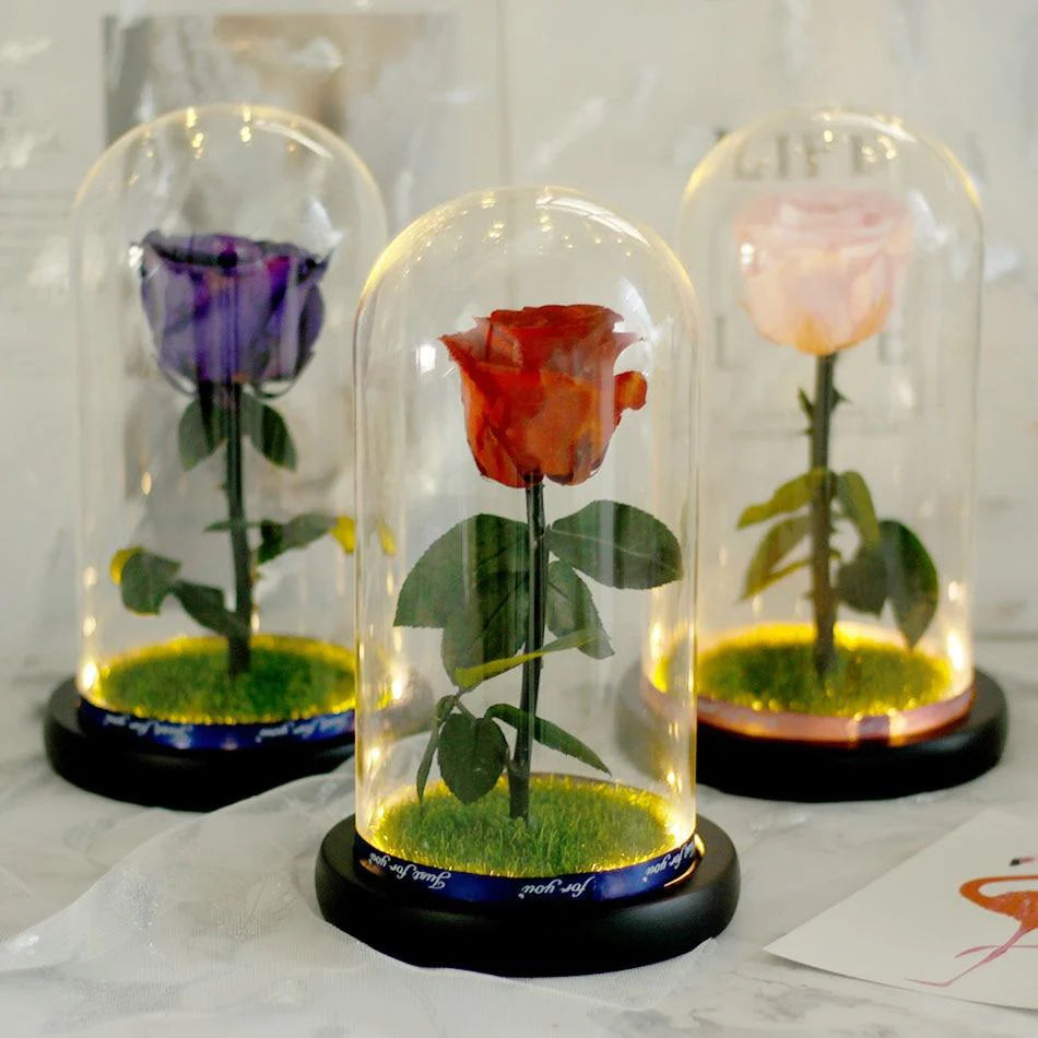 Immortal Enchanted Preserved Rose Glass Display with Grass