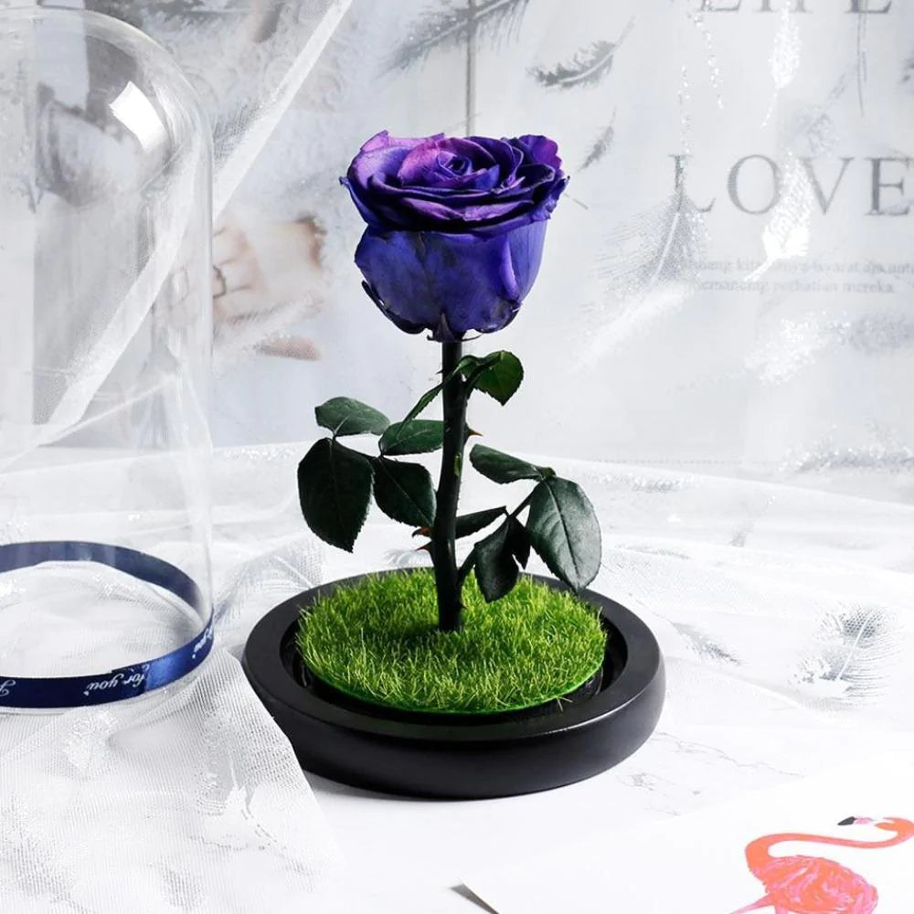 Immortal Enchanted Preserved Rose Glass Display with Grass