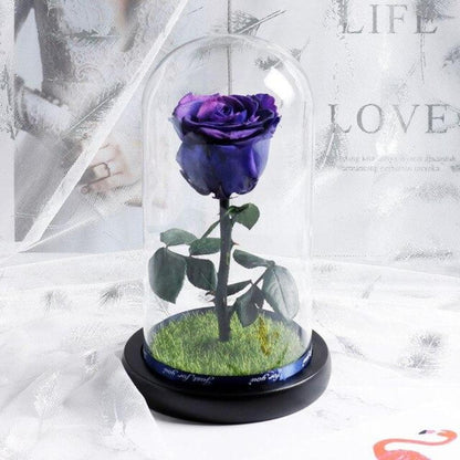 Immortal Enchanted Preserved Rose Glass Display with Grass