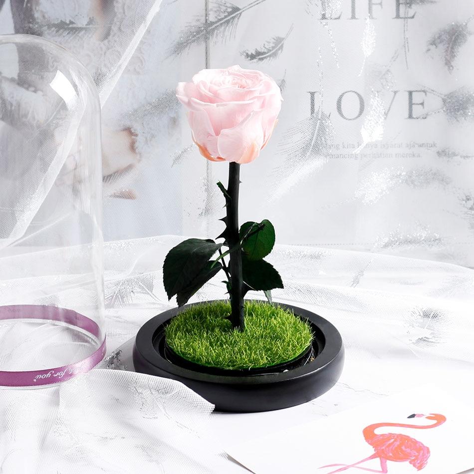 Immortal Enchanted Preserved Rose Glass Display with Grass