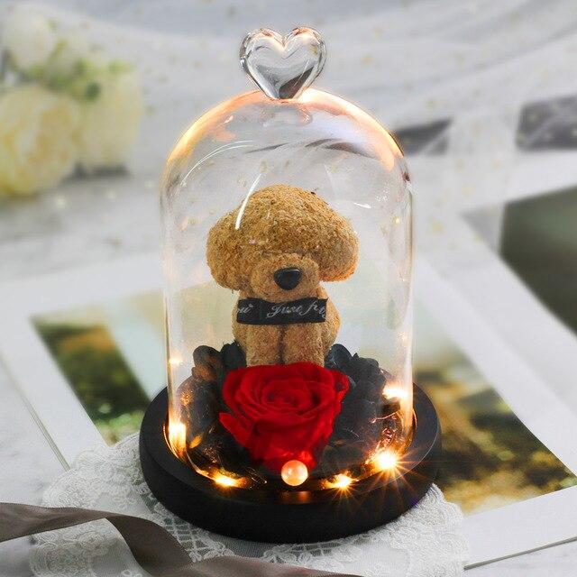 Immortal Preserved Rose Puppy Dog Glass LED Display