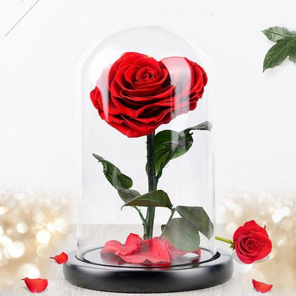 Heart-Shaped Eternal Enchanted Preserved Rose Glass Display