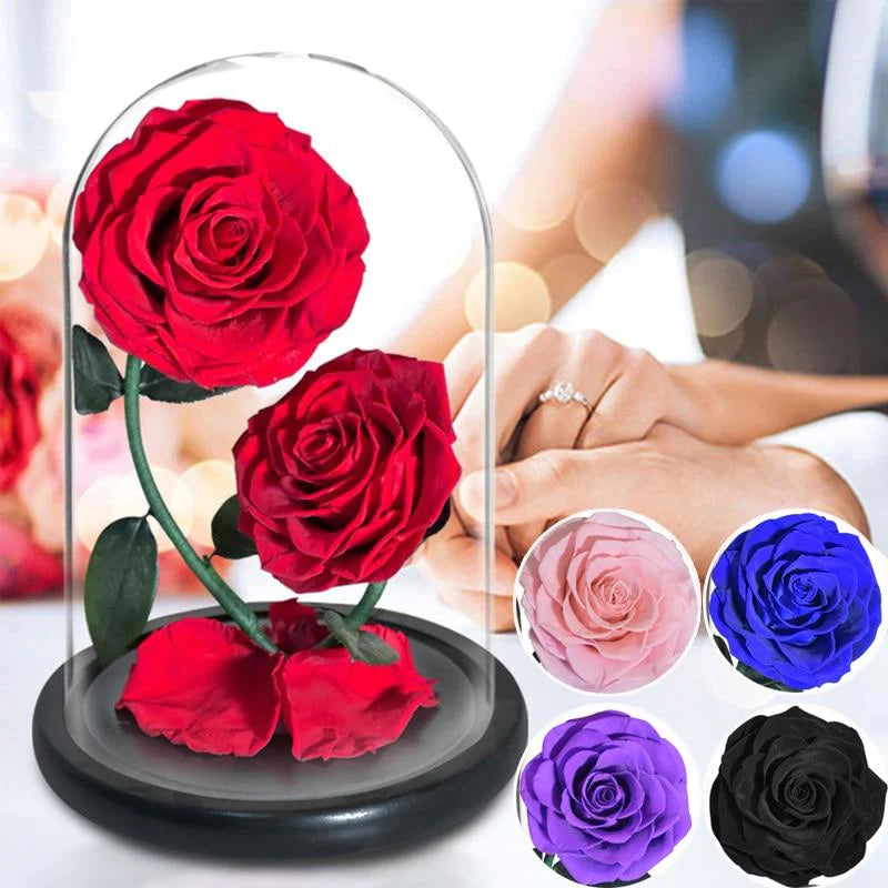 Double Head Immortal Enchanted Preserved Rose Glass Display (5 Colors)