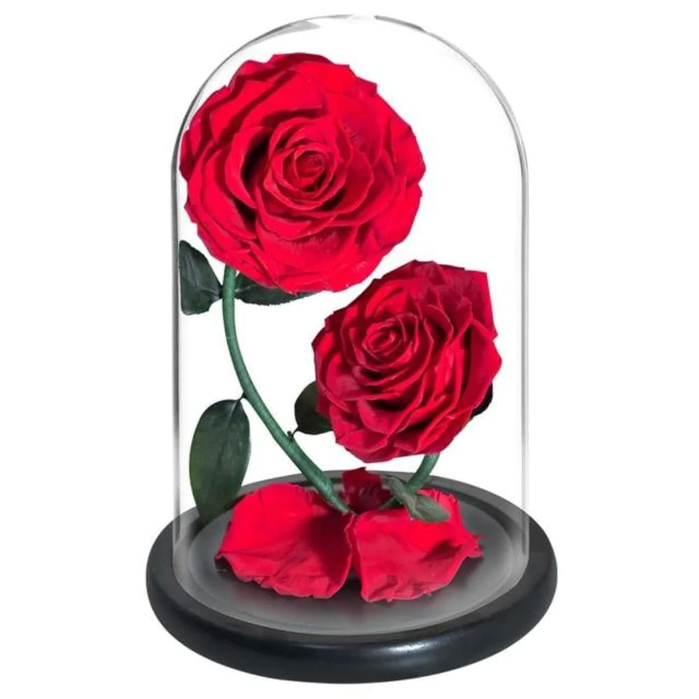 Double Head Immortal Enchanted Preserved Rose Glass Display (5 Colors)