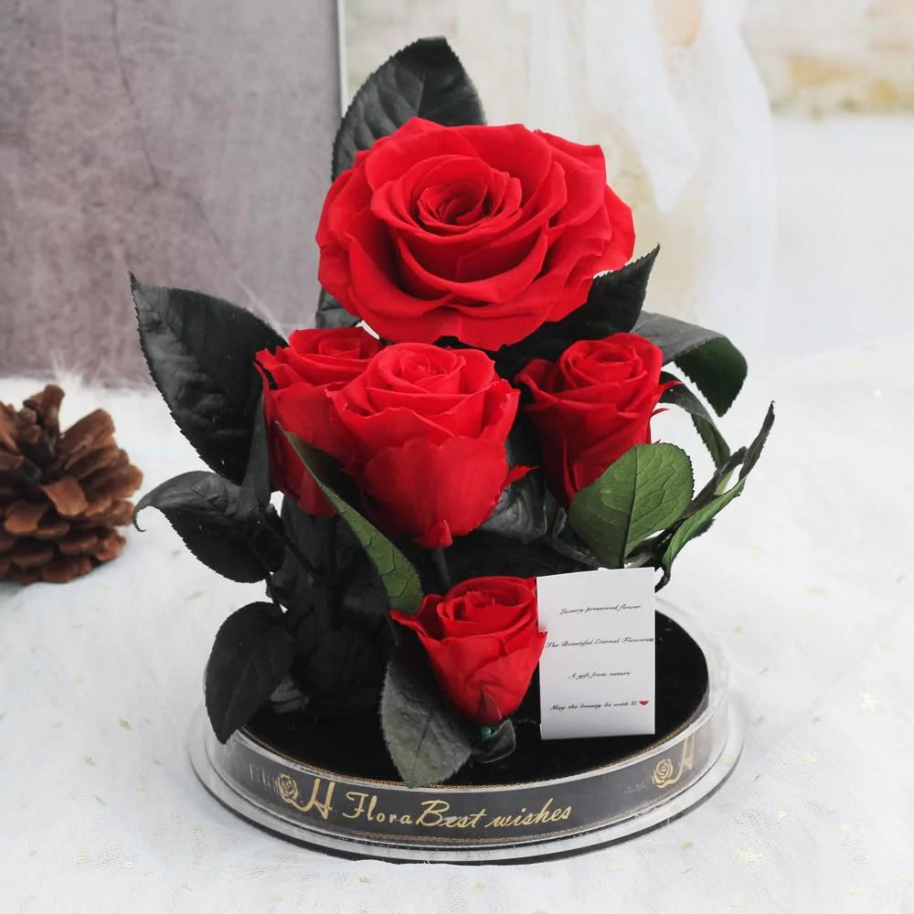 Immortal Enchanted Preserved Rose Bouquet Display