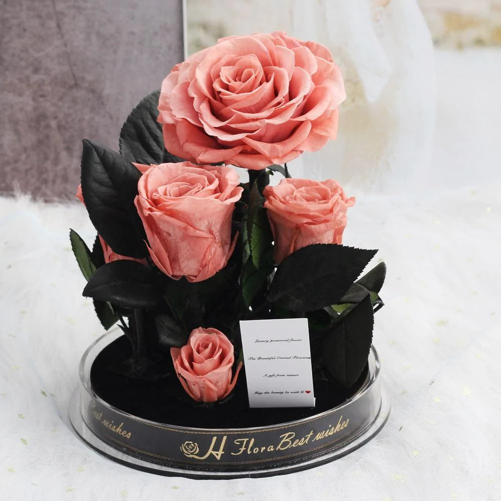 Immortal Enchanted Preserved Rose Bouquet Display