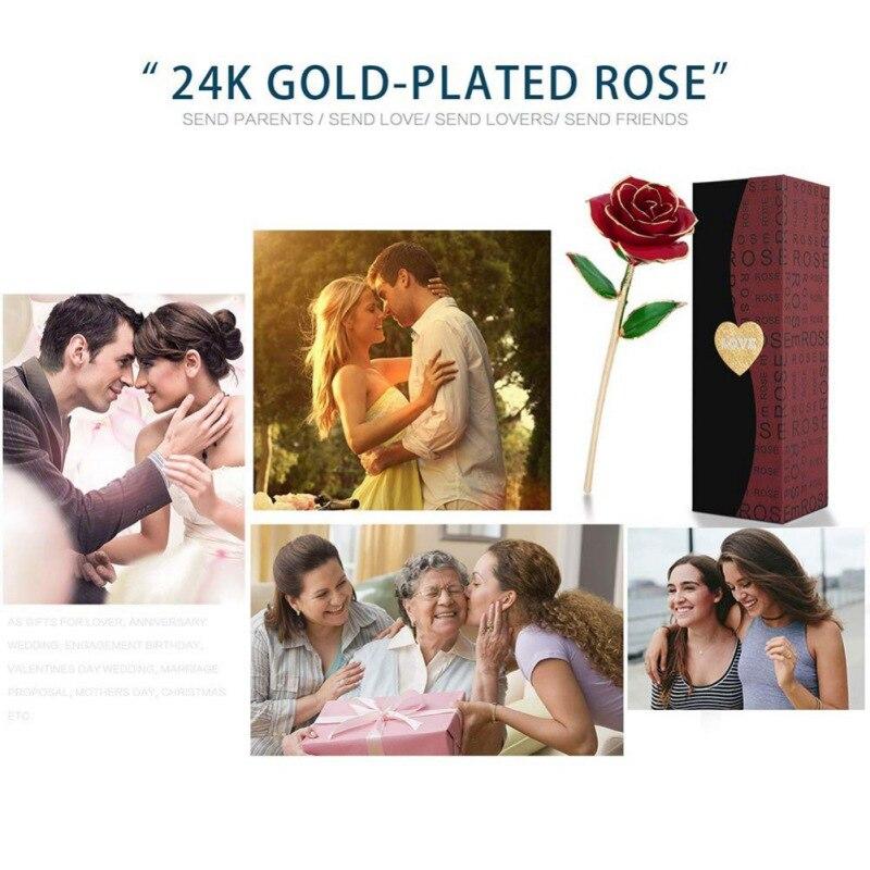 Permanent 24k Gold Long-Stem Rose