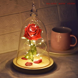 LED Glass Display with Immortal Enchanted Bell Rose (Preserved or Artificial Options)