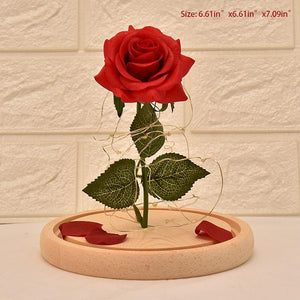 LED Glass Display with Immortal Enchanted Bell Rose (Preserved or Artificial Options)