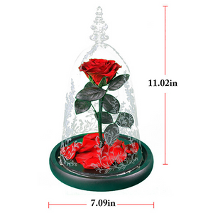 Dried Flowers The Beauty And Beast Eternal Real Rose Home Decor With LED in  Glass – Elegant Gift Store